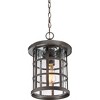 Crusade 1-Light Outdoor Hanging Lantern - 2 of 4