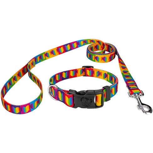 Rainbow best sale collar dog