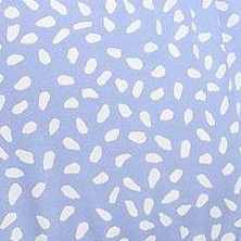 blue white dot
