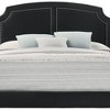 Zeena 86" Queen Bed Black Velvet - Acme Furniture: Chic Gold Nailhead, No Box Spring Required - 3 of 4
