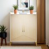 Hommoo Large Shoe Cabinet with Doors - 3 of 4