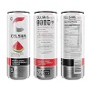 CELSIUS Variety Pack - Grape, Orange, Watermelon - 12 Fl Oz (Pack of 18) - 3 of 4