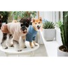 Touchdog (R) 'Modress' Fashion Designer Dog Sweater and Dress - 4 of 4