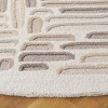 Ebony EBN850 Hand Tufted Indoor Rugs - Safavieh - 3 of 4
