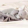 Carter's Elephant Cuddle Blanky 14" X 14" Inch Security Blanket Plush Toy - 4 of 4
