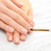 Unique Bargains Petal Nail Painting Brushes for Home DIY Polish Painting Gold Tone Clear White - 2 of 4