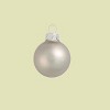 Northlight Matte Glass Christmas Ball Ornaments - 3.25" (80mm) - Silver Smoke - 8ct - 2 of 4