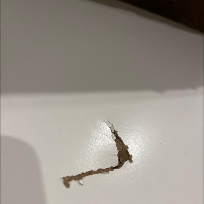 Guest review image 1 of 1, zoom in