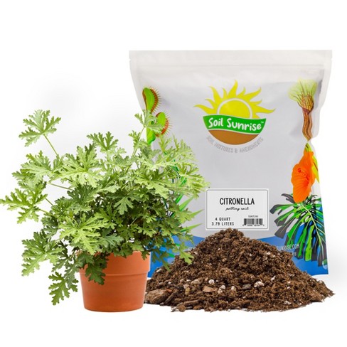 Soil Sunrise Citronella Plant Potting Soil Mix, for Pelargonium Citrosum, Indoor/Outdoor Container Gardening - image 1 of 4