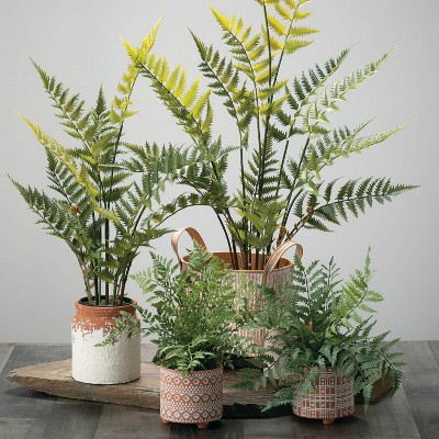 Verdant Charm 12" Plastic Potted Outdoor Fern