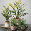Sullivans Artificial Potted Fern; Green - 3 of 4