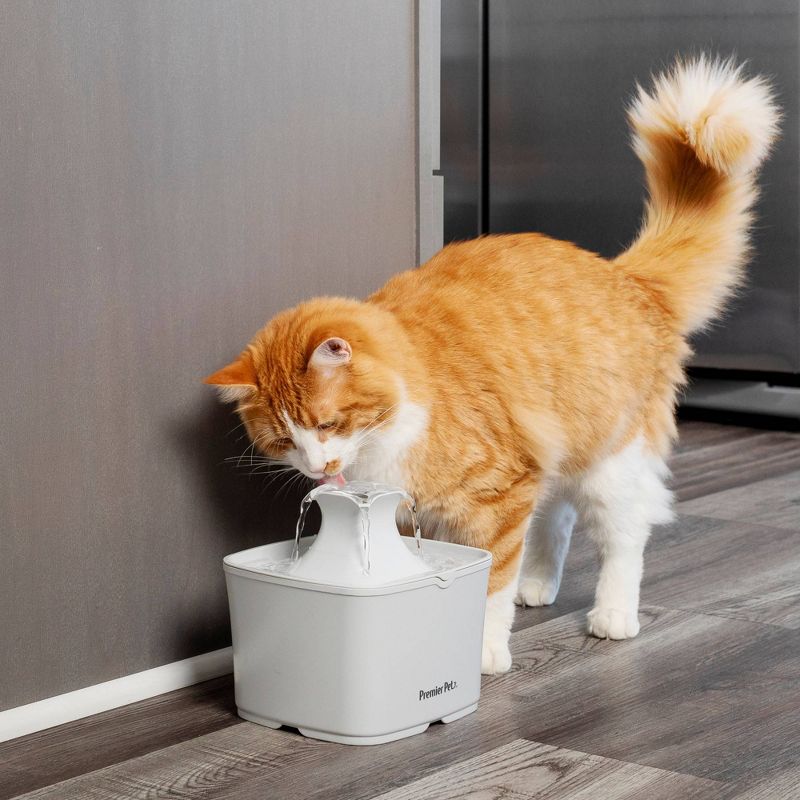 Premier Pet Automatic Water Fountain for Cats and Small Dogs - 60oz, 5 of 15