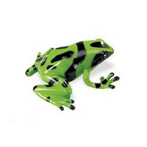 Collectible Wildlife Gifts | Frog, Green and Black Poison Dart Frog, Plastic Toy, Realistic, Rainforest, Model, Gift,      2"    F4092 B54 - 1 of 4
