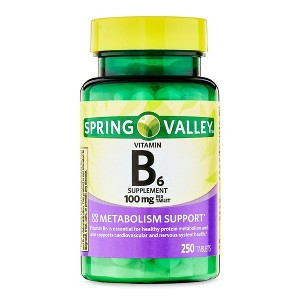 Spring Valley Vitamin B6 Supplement, 100 mg, 250 Count - 1 of 4