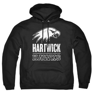 Men's Hartwick College Distressed Primary Logo Pull-Over Hoodie - 1 of 4