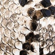 khaki snake