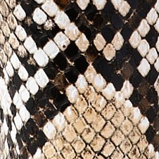 khaki snake