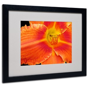 Trademark Fine Art - Kathie McCurdy 'Orange Day Lily' Matted Framed Art - 1 of 3
