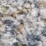 blue, mustard, olive, beige, tan