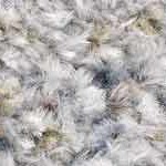 blue, mustard, olive, beige, tan