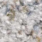 blue, mustard, olive, beige, tan