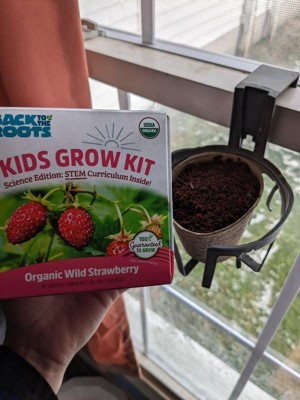 Back to the Roots Organic Alpine Strawberry Kids Grow Kit Science