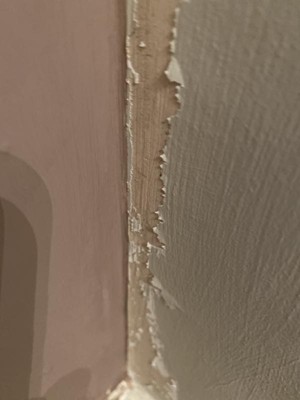 Guest review image 1 of 2, zoom in