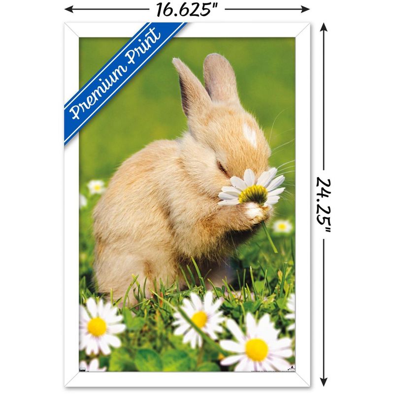Trends International Avanti - Bunny Smelling Flower Framed Wall Poster Prints, 3 of 7