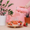 Beachball | Organic Iced Tea | Strawberry Hibiscus | Pack of 12 - 3 of 3