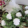 Floral Home 5" Stem Long White Carnation Pick - 100-Piece - 2 of 3