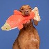 Fluff & Tuff Cedar Salmon Dog Toy - 14" - 3 of 3