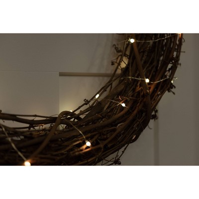 Enbrighten 20&#39; Basics Series String Fairy Lights_2