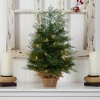 Nearly Natural 2-ft Artificial Christmas Tree in Burlap Base with 35 Warm White LED Lights - 4 of 4