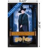 Trends International Harry Potter and the Philosopher's Stone - McGonagall Framed Wall Poster Prints - image 3 of 4