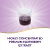 Nature's Way Sambucus Elderberry Traditional Immune Syrup - 8 fl oz - 3 of 4