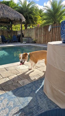 Guest review image 1 of 1, zoom in