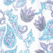 blue/white paisley