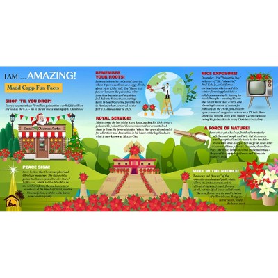 Festive Red and Green Poinsettia Shaped Jigsaw Puzzle