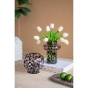Dexmalle Clear Glass Accent Vase with Artistic Amber Spots - 4 of 4