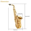 AS-100 Eb Alto Saxophone Gold Lacquer Alto Sax Full Kit With Cleaning Cloth, Gloves, Brush, Headjoint, Reed, Strap, Stand, Tube Case, Saxophone, Gold - 3 of 4