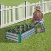 Miracle-Gro 4pc Rectangular Galvanized Steel Outdoor Garden Bed Silver 20"x40" - 2 of 4
