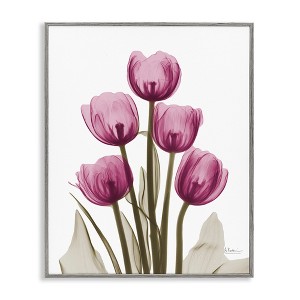 Stupell Industries Pink X-Ray Tulips, 16" x 20" - 1 of 4