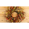 Cape Gooseberry Wreath – 20" Diameter – Indoor and Covered Outdoor Use – By Melrose - 3 of 3