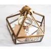 Ukonic Harry Potter Gold Chocolate Frog Jewelry Box Storage Case Organizer - 4 of 4