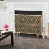 Vynxaria WATERBURY FIREPLACE SCREEN - 3 of 4