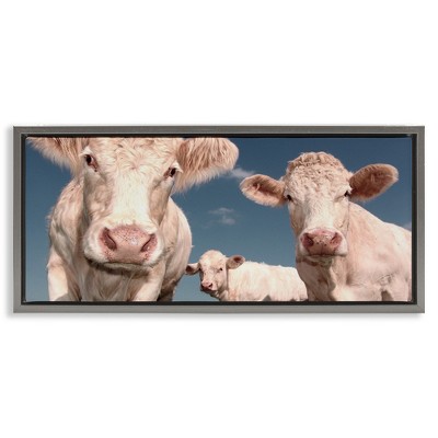 Stupell Industries Three White Cows, 31" x 14"