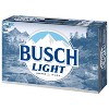 Busch Light Beer - 24pk/12 Fl Oz Cans : Target