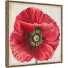 Amanti Art Red Poppy by Patricia Pinto Canvas Wall Art Print Framed 22 x 22-in. - 3 of 4