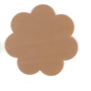 Tabare Ultimate Bare Petals Reusable Nipple Covers - 1 of 2