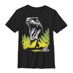 Boy's Jurassic World Velociraptor Surprise T-Shirt - 1 of 4